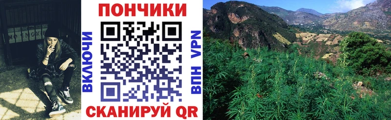 Канабис гибрид Мураши